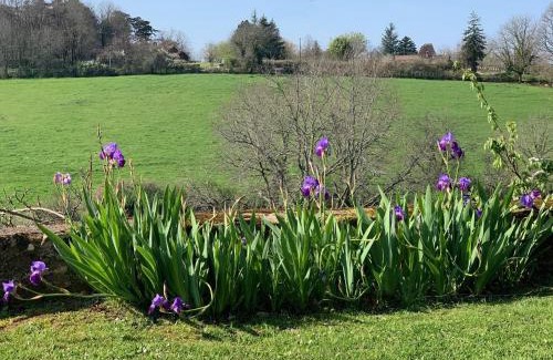 Badefols-sur-Dordogne Bed & Breakfast | Le Sizel