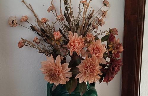 Bastia Bed & Breakfast | Le Terrazze