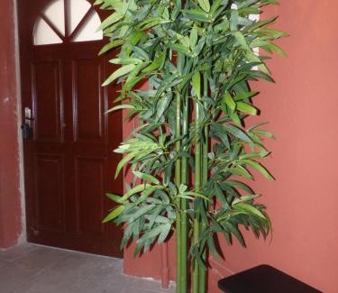 Pamiers Apartment | Le tout cosy - Wifi - Disney - EvasionPamiers