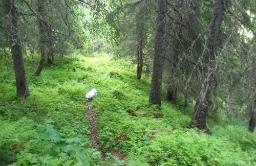 Seljord Apartment | Leilighet i Åmotsdal