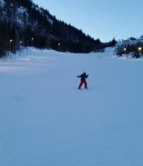 Seljord Apartment | Leilighet i Åmotsdal