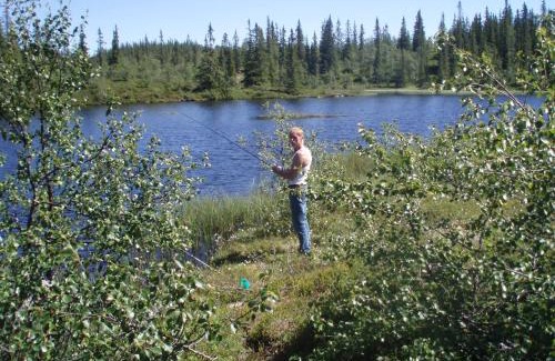 Seljord Apartment | Leilighet i Åmotsdal