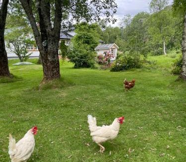 Leka House | Leka Overnatting