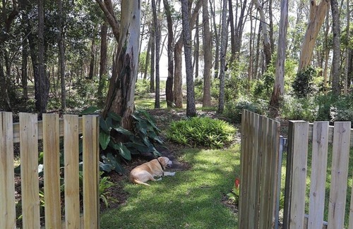 Toogoom House | Lemac - Direct Access to Toogoom Beach-Sleeps 8-2 Smart TV's-Wifi-Pets