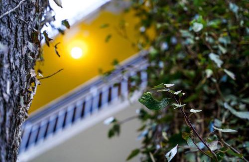 Nathia Gali Hotel | Lemon Lodges By Roomy, Nathiagali