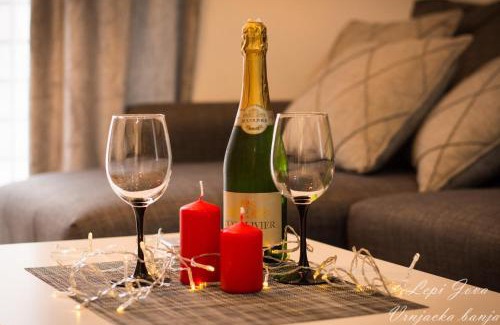 Vrnjacka Banja Apartment | Lepi Jova - SNEZNIK