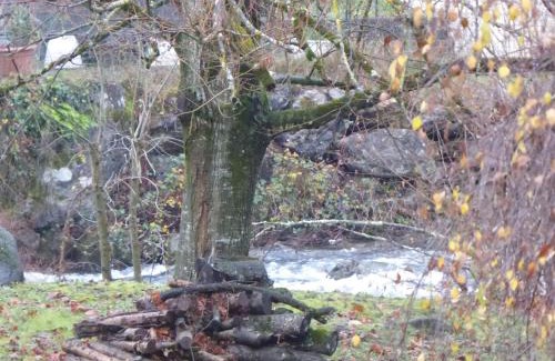 Argeles Gazost Apartment | Les Berges Du Gave D'azun