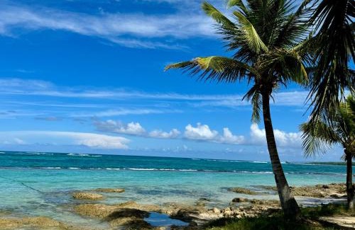 Morel House | Les Jardins de Joyce