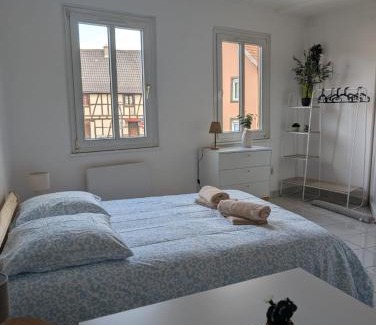 Eckbolsheim Apartment | les studios du canal