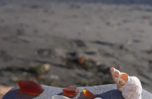 Kenai Apartment | Less than a mile from the mouth of the Kenai River!