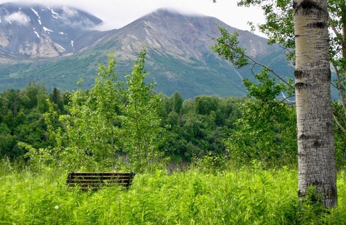 Sutton Cabin | Life is better in the mountains