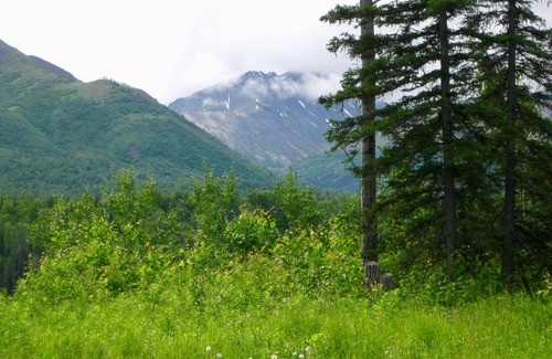 Sutton Cabin | Life is better in the mountains