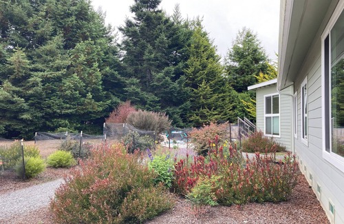 Mendocino House | Light-filled family retreat with hot tub