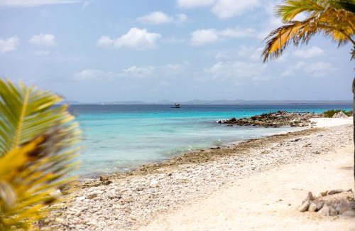 Belnem House | Lighthouse Beach Resort with Ocean View