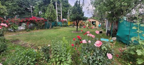 Nagin Bagh Hotel | Lily Of The World Houseboat