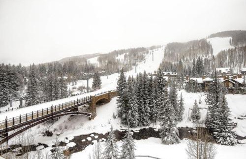 Vail Ski Chalet | Lion Square Lodge South 750