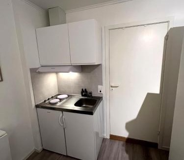 Trondheim City Centre Apartment | Liten studioleilighet meget sentralt i sentrum, 3 minutter fra torget