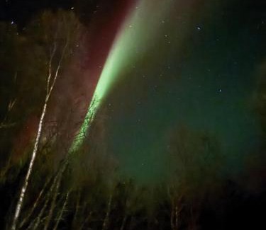 Tromso Apartment | Little Getaway