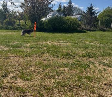 Armoy Other | Little lake lodge faceboo