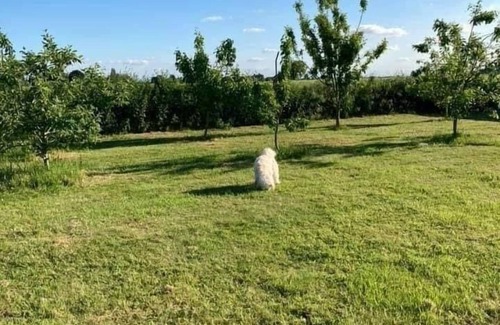 Tilney Fen End Cottage | Little Owls Nest - 2 Bed - Pet Friendly w Field