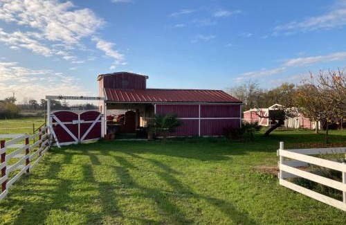 Samazan Apartment | Little Ranch