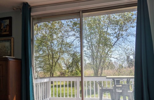 Elkton Cottage | Little River Cottage - Tiny Beach for Enjoying and Welcoming Backyard Retreat