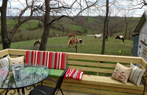 Williamstown Cottage | Little White Cottage-Country Setting In Town Just 5 minutes to The Ark Encounter