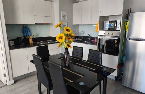 Downtown Santiago Apartment | Live Santiago with Style and Space