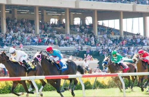 Del Mar House | Live the Beach Life in a Quaint Shell Cottage