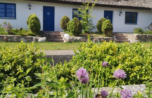 Lancken-Granitz Apartment | Living under "thatch" Family-friendly, dogs allowed, garden+large open space
