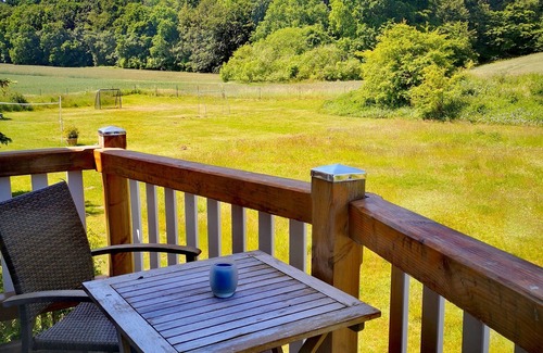 Lancken-Granitz Apartment | Living under "thatch" Family-friendly, dogs allowed, garden+large open space