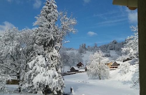 Stosswihr Apartment | Location Elfe