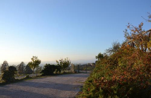 Viole Bed & Breakfast | Locazione turistica Villa delle rose Pinhaus
