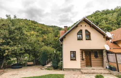 Stara Planina Cabin | Lodge Zeleni svet