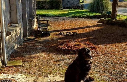 Plesidy Cottage | Lodging for 4 people quiet with swimming pool Bay of St Brieuc