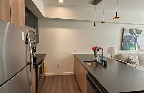 LoDo Apartment | LODO 1-bedroom Designer Apartment Meets Mile High Charm
