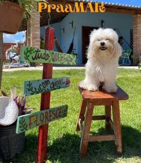 Luis Correia Apartment | Loft Azul - Pousada Vila Dondom