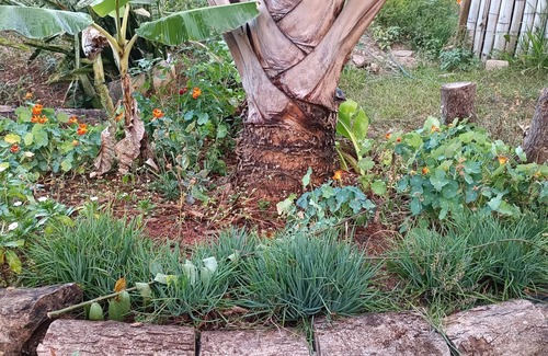 Lago Norte Cottage | Loft flat with beautiful view and close to the center of Brasília