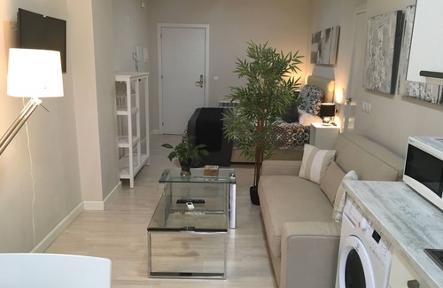 Granada City Center Apartment | LOFT IN THE CENTER OF GRANADA (RECOGIDAS)