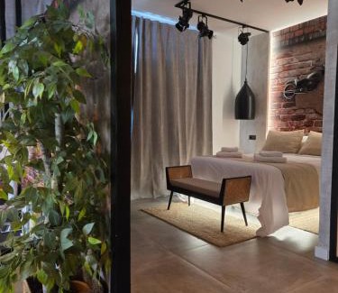 Zaidin Apartment | Loft los carmenes