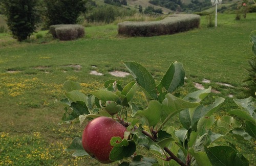 Montelabbate Apartment | LOFT of 40 s.m. in a large Villa in the Marche hills a few minutes from the sea.
