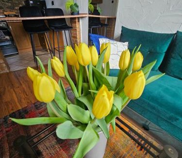 Sosnowiec Apartment | Loft