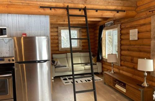 Central Okanagan House | Lofted log cabin with fire table