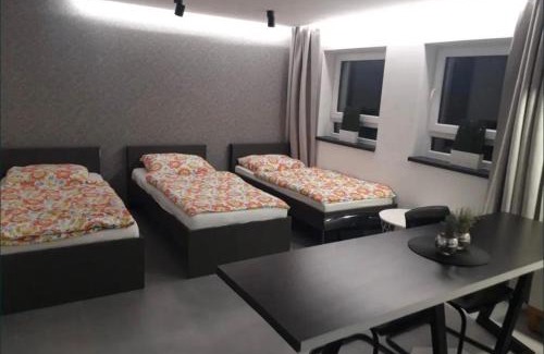 Pulawy Apartment | Loftowe Pokoje