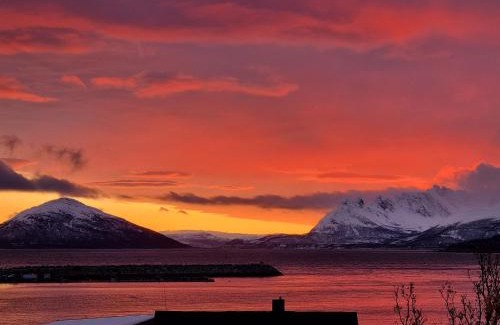 Skjervoy Apartment | Loftsleilighet midt i sentrum