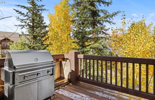 Mountain Village Cabin | Log Cabin by InvitedHome | Patio, Hike, Hot Tub, Walk to Gondola