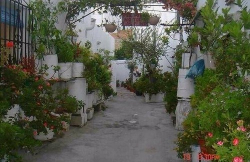 El Palmar Cabin | Log cabin next to the most beautiful beach.