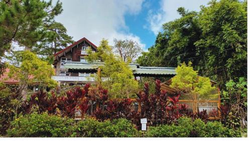 Baguio Hotel | Log Cabin Hotel - Baguio