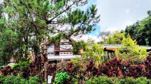 Baguio Hotel | Log Cabin Hotel - Baguio