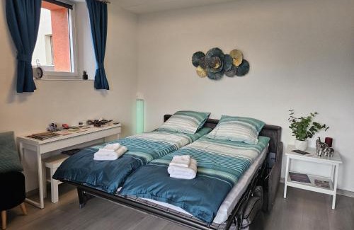 Salins Apartment | Logement Premium à Salins